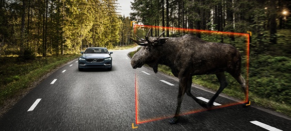 Detectare animale mari Volvo